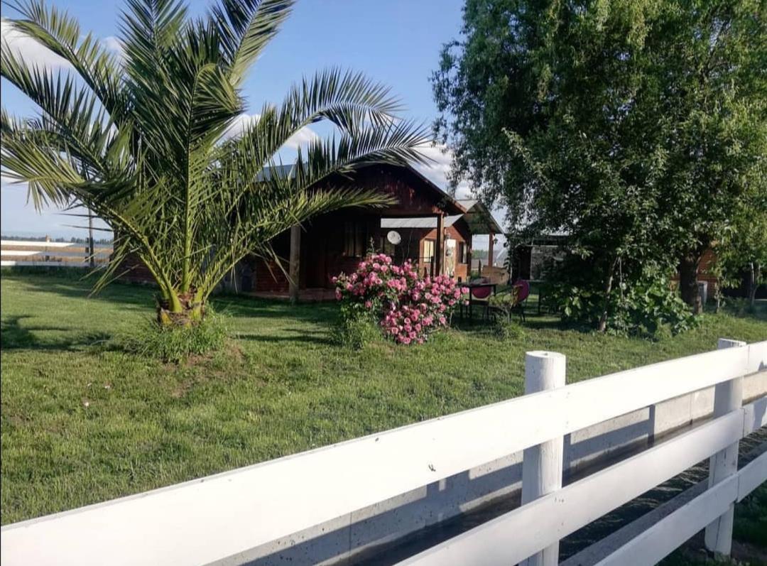 Cabanas Los Castanos Los Angeles  Ngoại thất bức ảnh