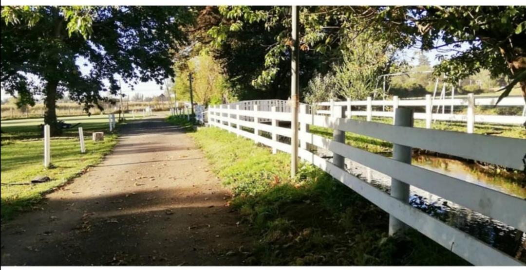 Cabanas Los Castanos Los Angeles  Ngoại thất bức ảnh